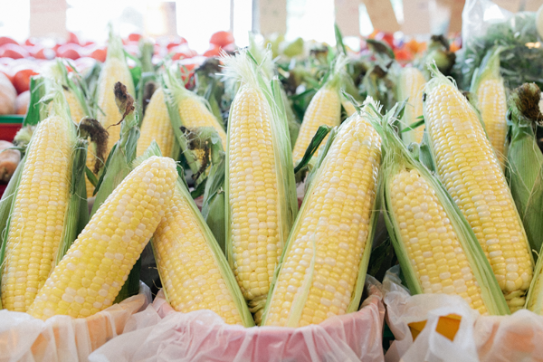 Olathe sweet corn