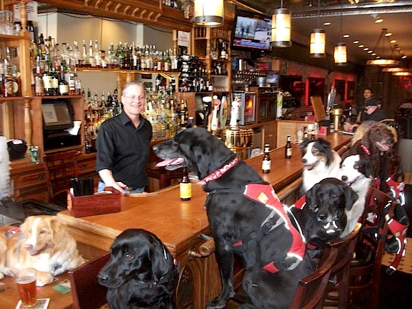 Dogs enjoying après ski drinks at The Red Onion in Aspen.