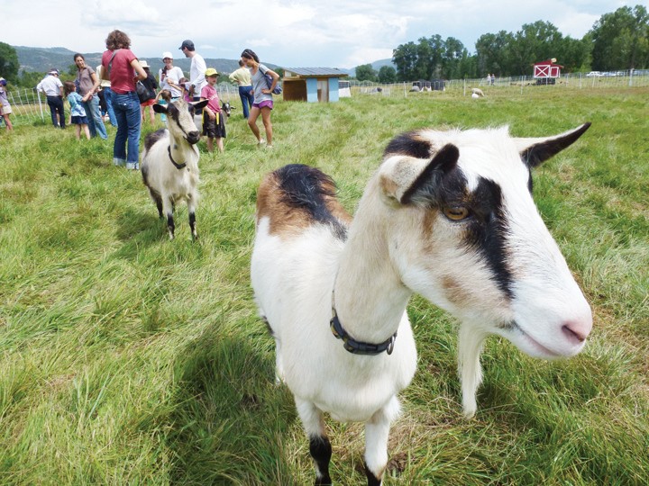 FarmTour