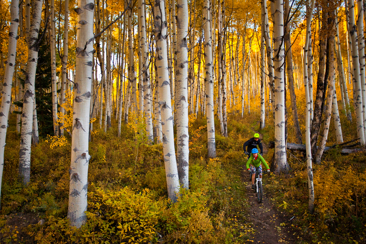 Biking in fall 