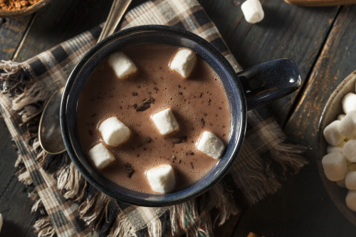 Homemade Dark Hot Chocolate with Marshmallows and Cinnamon