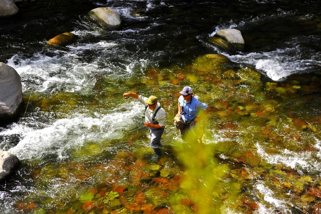 Fly fishing