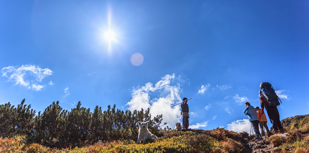 Dog Friendly Hiking Trails in Aspen