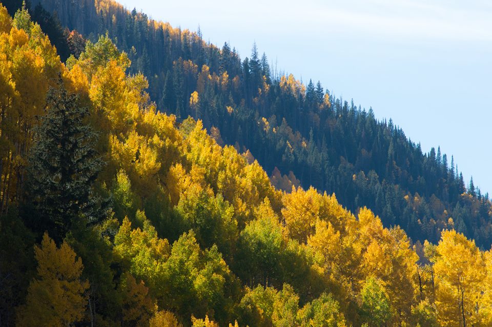 Fall colors Colorado