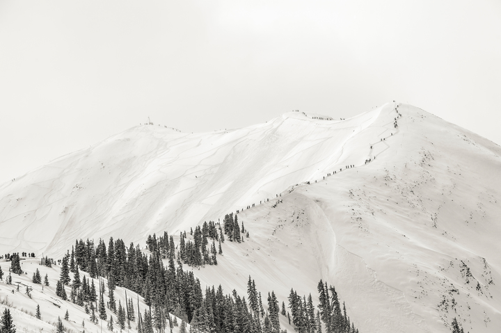 ants on highland bowl 