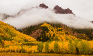 How to Take Gorgeous Photos of Colorado's Aspen Trees