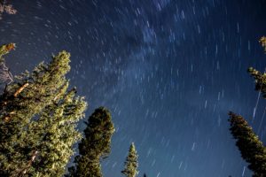 Time-lapse image of stars above the trees near the Sun Valley in Idaho.