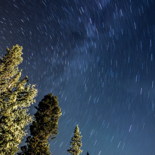 Time-lapse image of stars above the trees near the Sun Valley in Idaho.