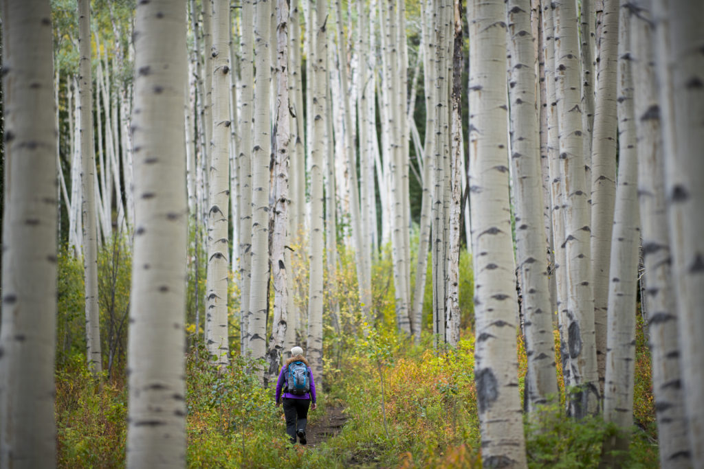 Fall hiking