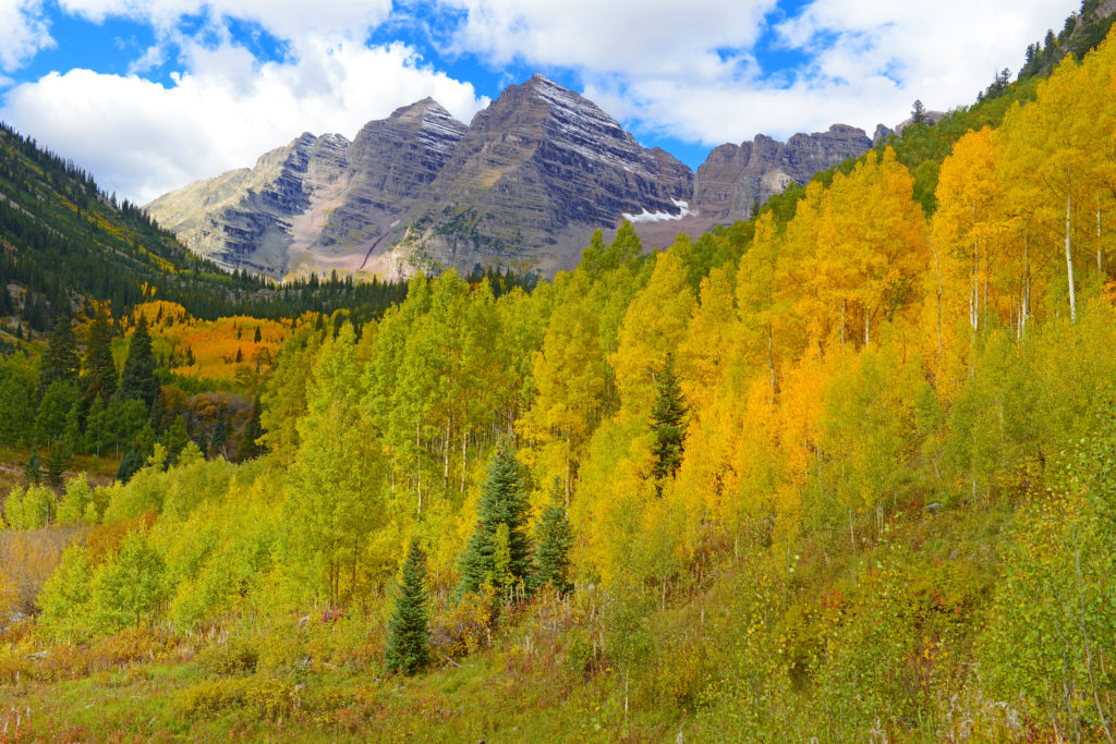 leef peeping in Colorado