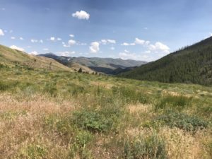 A view of Adam's Gulch from the Adam's Gulch area trails near Ketchum, Idaho.