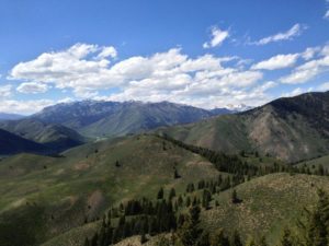 A view of Taylor Creek Canyon, as seen from the Taylor Creek Loop trail, near Ketchum Idaho.